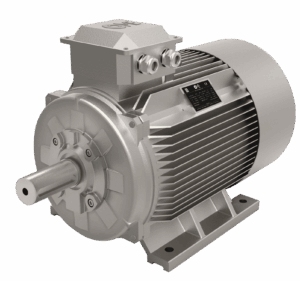 Motori Standard OME Motors